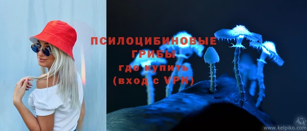 2c-b Волосово