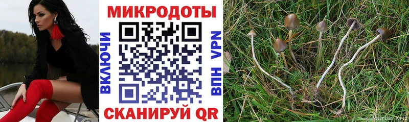 Галлюциногенные грибы Magic Shrooms  Купить закладки  Семикаракорск 