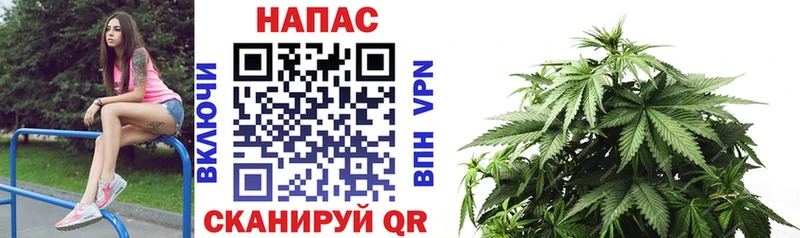 Купить закладки  Семикаракорск  Каннабис MAZAR 